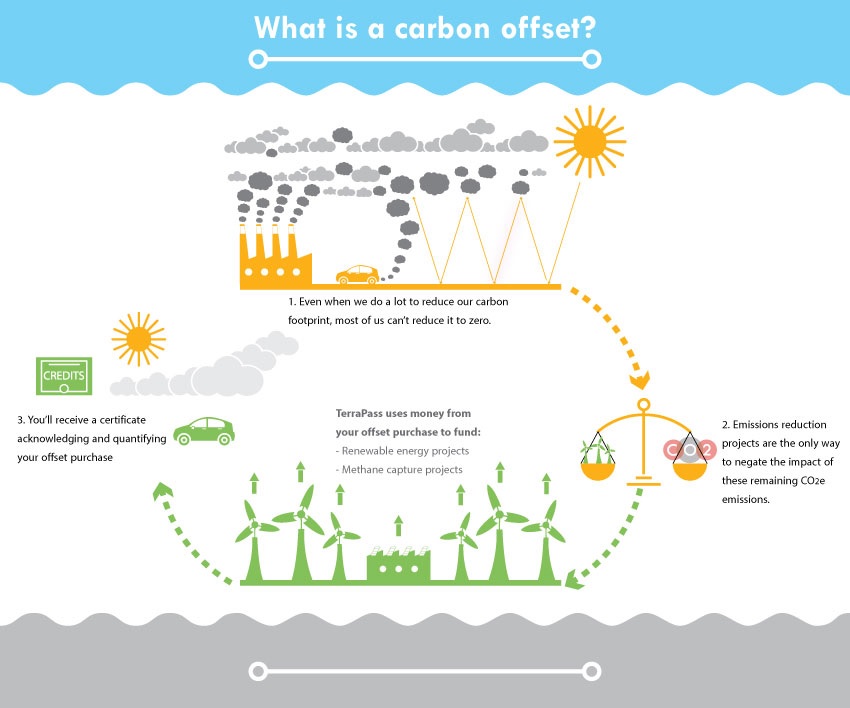 Examples Of Carbon Offsets