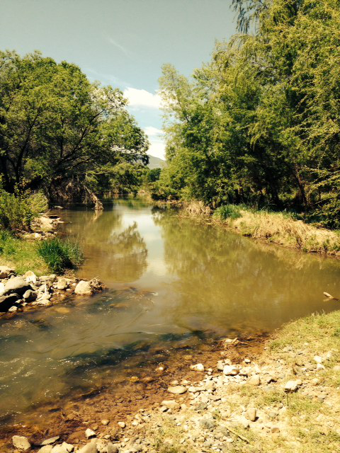 verde River surrounded by trees