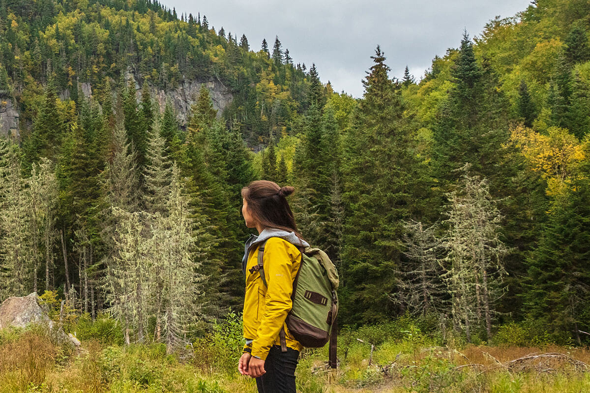 International Day of Forests Protect & Preserve Forests