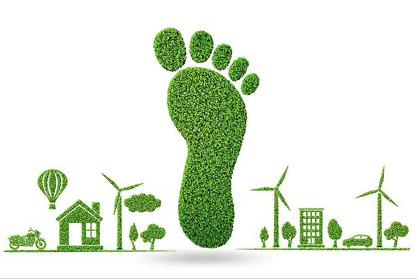 Reducing Your Carbon Footprint: How to Make a Difference?