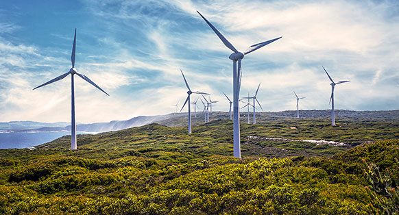 What are Carbon Offsets? What are Carbon Offsets?