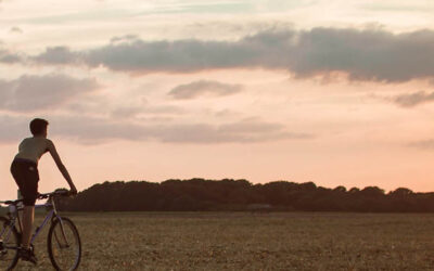 Afraid to Say the “S” Word? Clarity Is Coming to Sustainability Communications